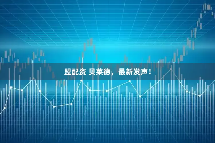 盟配资 贝莱德，最新发声！