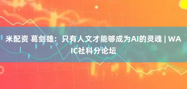 米配资 葛剑雄：只有人文才能够成为AI的灵魂 | WAIC社科分论坛