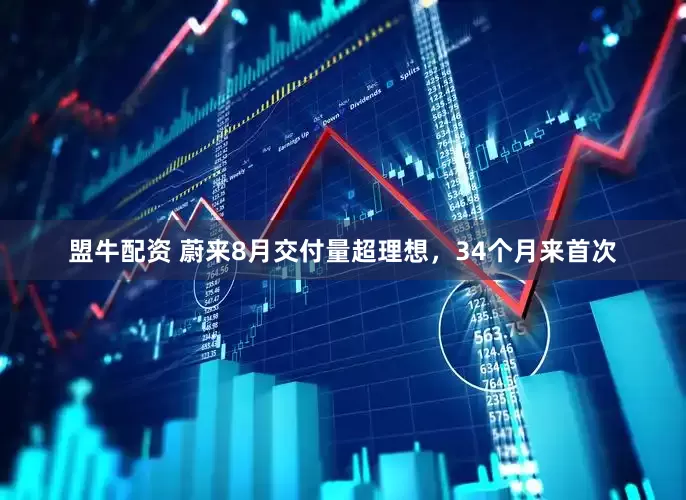 盟牛配资 蔚来8月交付量超理想，34个月来首次